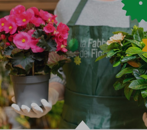 Primavera - PRODUZIONE E CURA DI FIORI E PIANTE, IN SERRA E IN VIVAIO