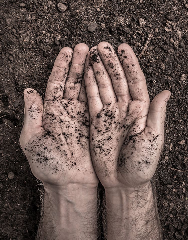 Avverabile_foto_Agricoltura_Sociale_Focus