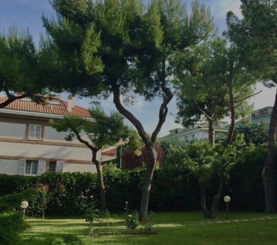 Primavera - CREAZIONE E CURA DI GIARDINI, PARCHI E AREE VERDI